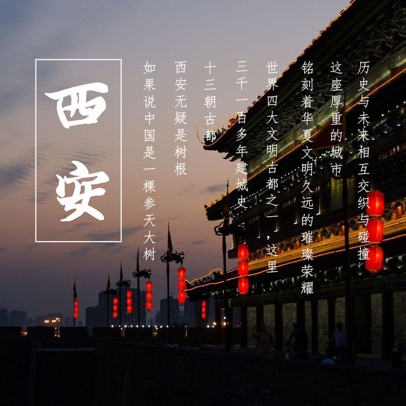 西安旅游 博物館+大雁塔+城墻+鐘鼓樓 市內包車一日游(一朝入西安 一日懂千年)當?shù)叵驅эL趣講解 可代訂景點門票
